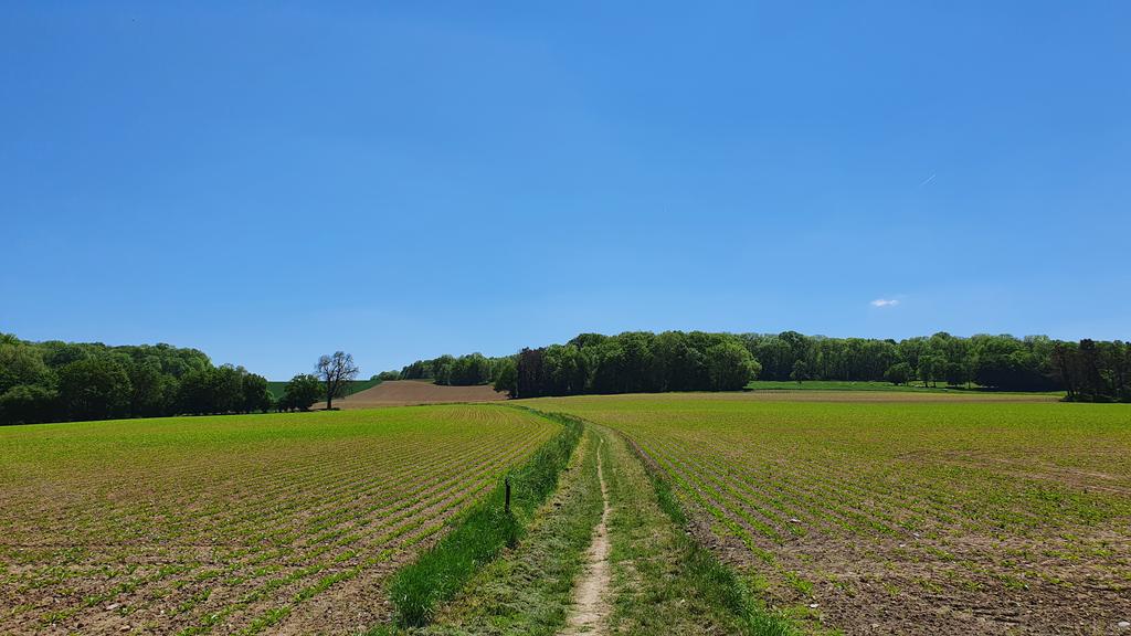 ThomasDeRijdt's tweet photo. #vrtweer #Nameche #Andennes https://t.co/2U7cd9PCXL