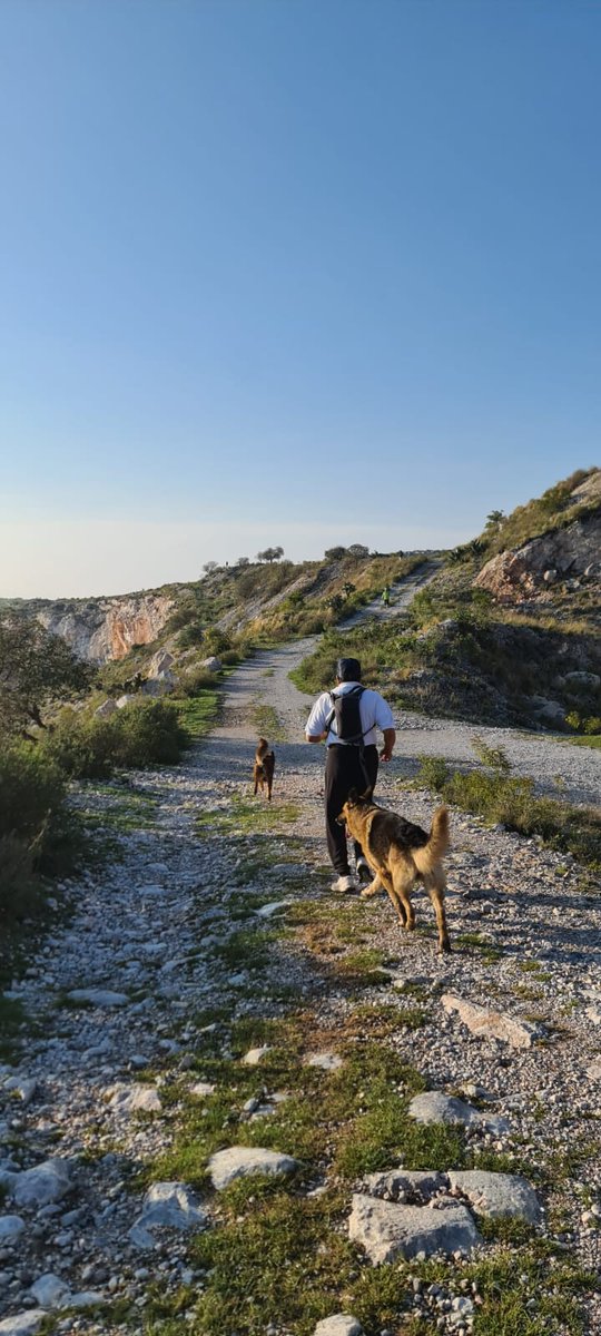 H_AguilarV's tweet photo. Fui afortunado de observar un amanecer esplendoroso en la travesía matinal, acompañado de mis amigos KUNO y ROTH, fieles compañeros de ascenso y descenso, terminamos agotados pero extremadamente satisfechos de recorridos excepcionales, abajo  nuestros valles y pueblos sin igual. https://t.co/pC2prrGRxw