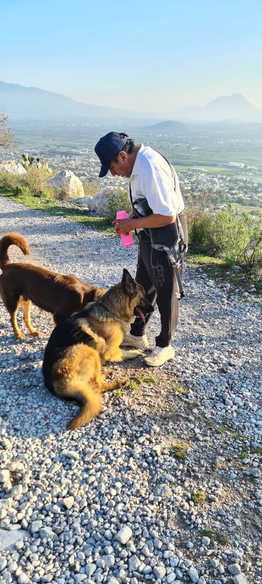 H_AguilarV's tweet photo. Fui afortunado de observar un amanecer esplendoroso en la travesía matinal, acompañado de mis amigos KUNO y ROTH, fieles compañeros de ascenso y descenso, terminamos agotados pero extremadamente satisfechos de recorridos excepcionales, abajo  nuestros valles y pueblos sin igual. https://t.co/pC2prrGRxw