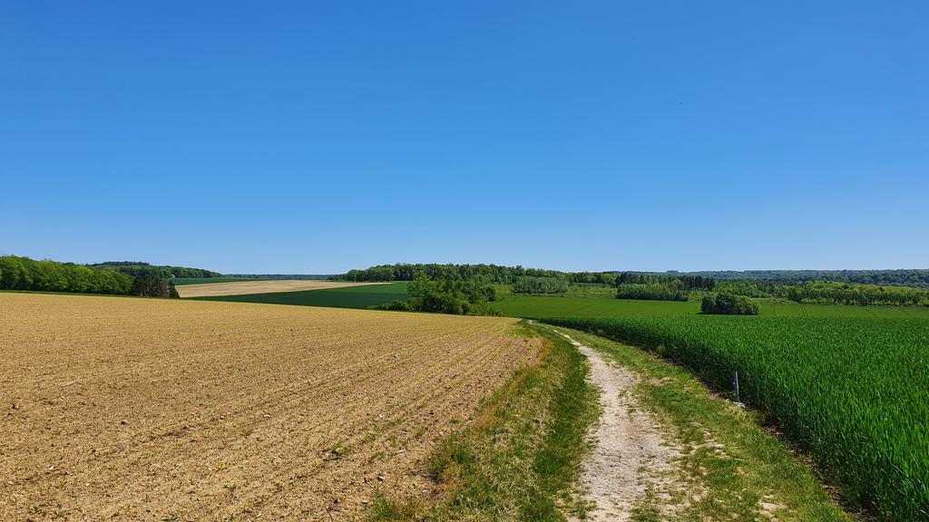 ThomasDeRijdt's tweet photo. #vrtweer #Nameche #Andennes https://t.co/MGTd5upmF2