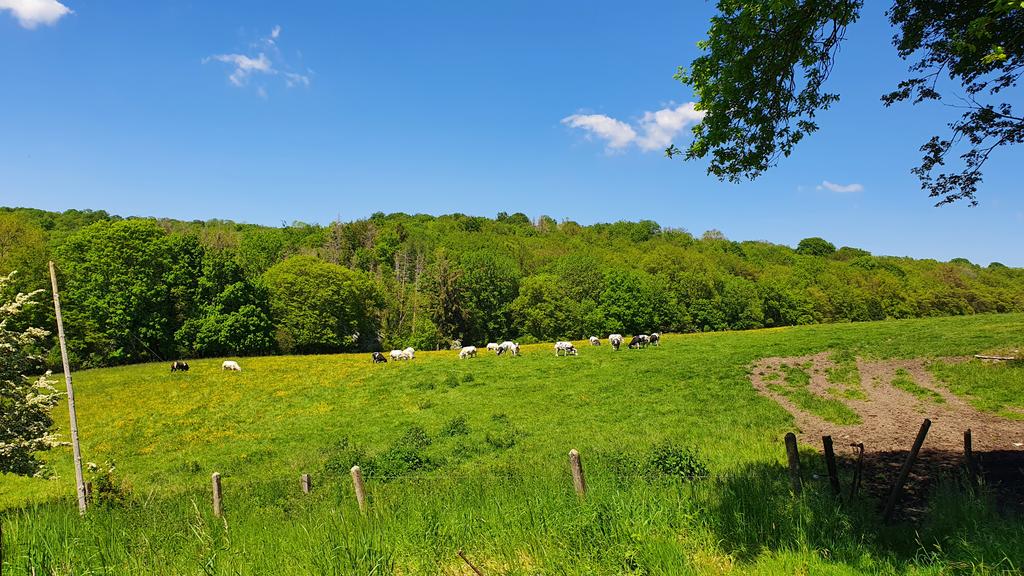 ThomasDeRijdt's tweet photo. #vrtweer #Nameche #Andennes https://t.co/MGTd5upmF2