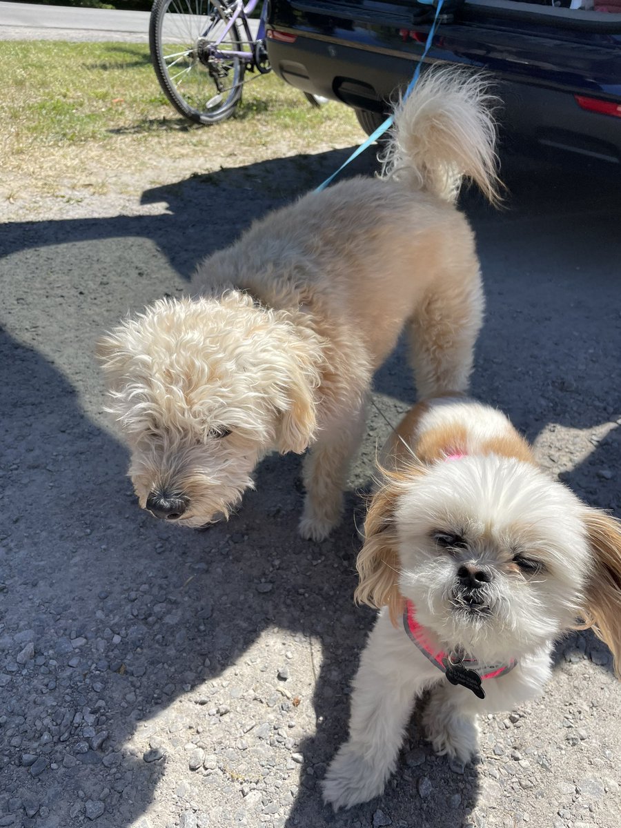 Sunday funday! Come on out and grab a dog! 11-7pm!