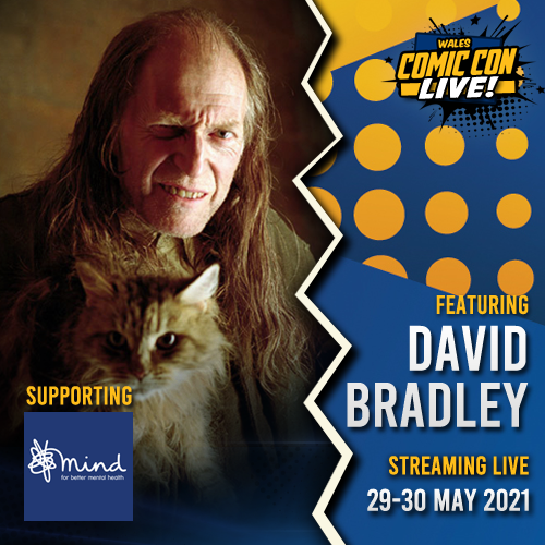 walescomiccon's tweet photo. Our magical panel featuring @bradders_david, @hughmitchell1 and @StanYanevski is LIVE right now celebrating all things #HarryPotter in support of @MindCharity! #WCCLIVE 🪄

https://t.co/aCawWi2o4R https://t.co/ZFCgq204MV
