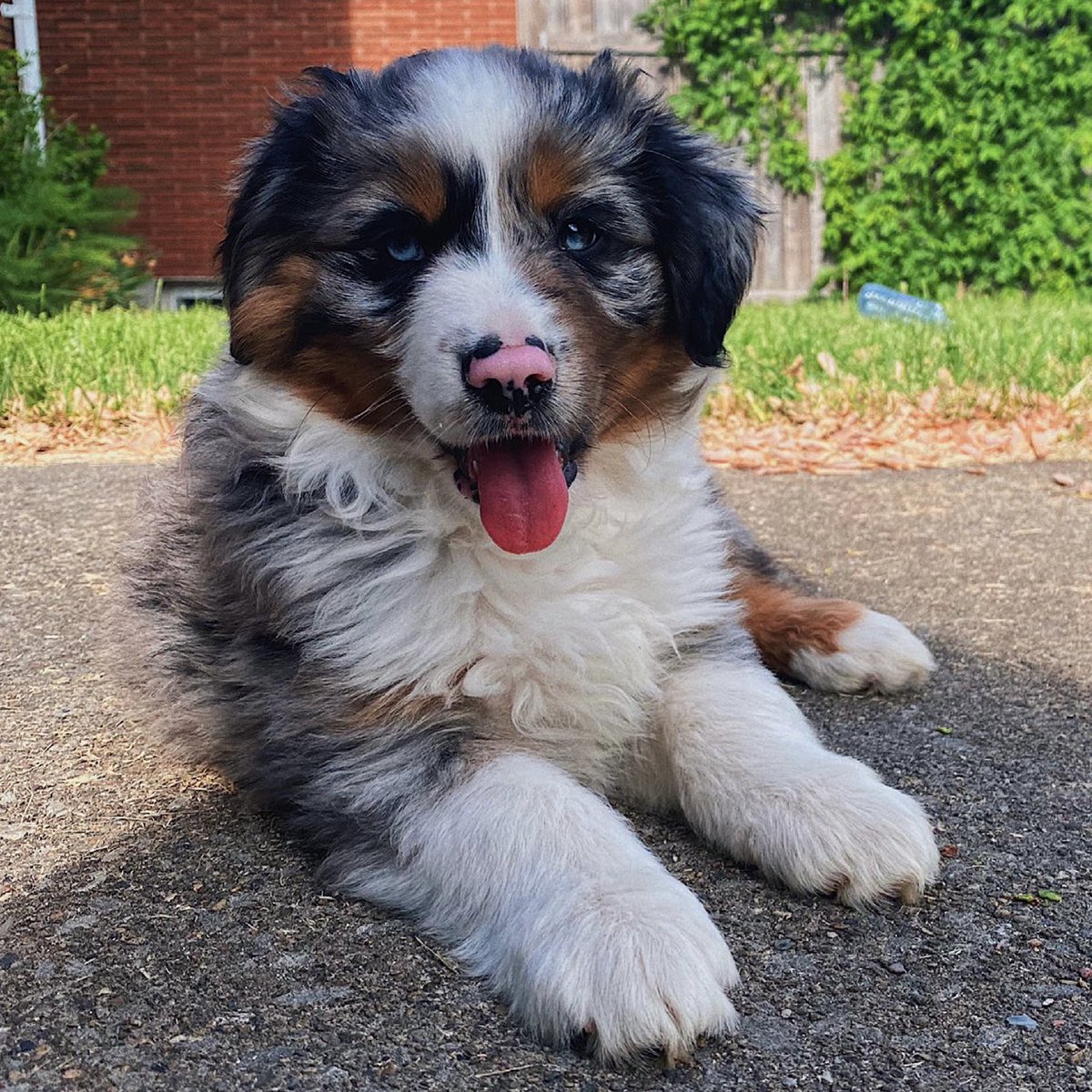 336 Gaming tweet media