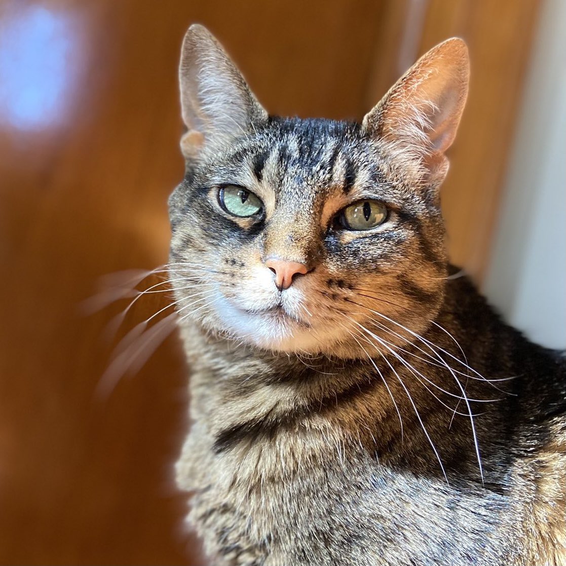 336 Gaming tweet media