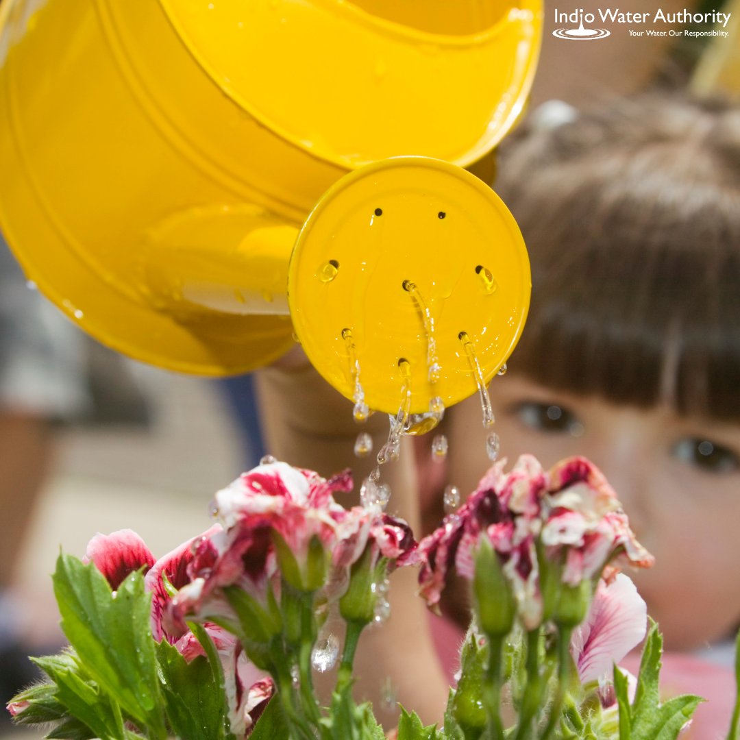 IndioWater's tweet photo. #NationalWateraFlowerDay 
#IWA #YourWaterOurResponsibility https://t.co/aYG9lacYRM