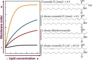 The long chain base unsaturation has a stronger impact on 1-deoxy(methyl)-sphingolipids biophysical properties than the structure of its C1 functional group buff.ly/3vyKRcf (@BBAjournals)