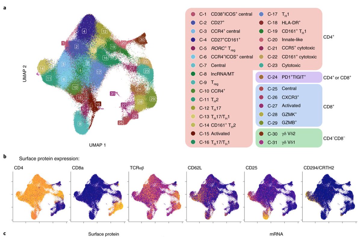 mmw_lmw's tweet photo. #Memory_T_cells | Multimodally profiling from a tuberculosis cohort | cell state associations with demographics, environment and disease | Soumya Raychaudhuri @BrighamWomens @NatImmunol https://t.co/nxdM1qwqiJ https://t.co/ciuzLiv37O