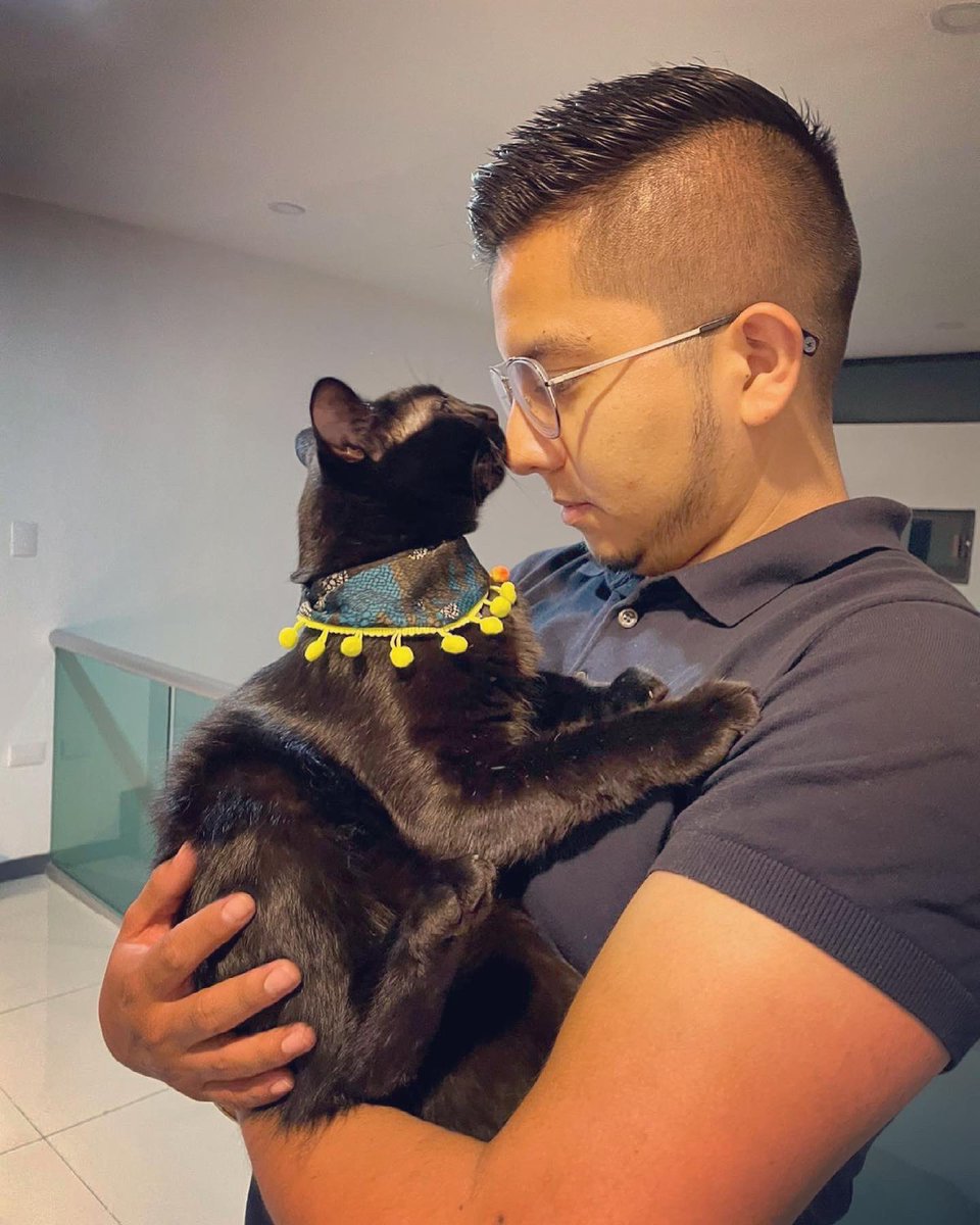 yeyo_producer's tweet photo. Baguira fue adoptado hace dos años y se ha convertido en mi mejor amigo...
#Gato #GatoNegro #Baguira #Pantera https://t.co/hNFC8X1kBe
