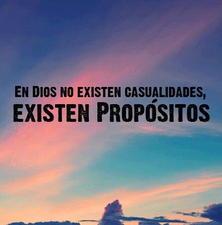 ameduque73's tweet photo. Yo lo creo https://t.co/qkq6JBhX5q