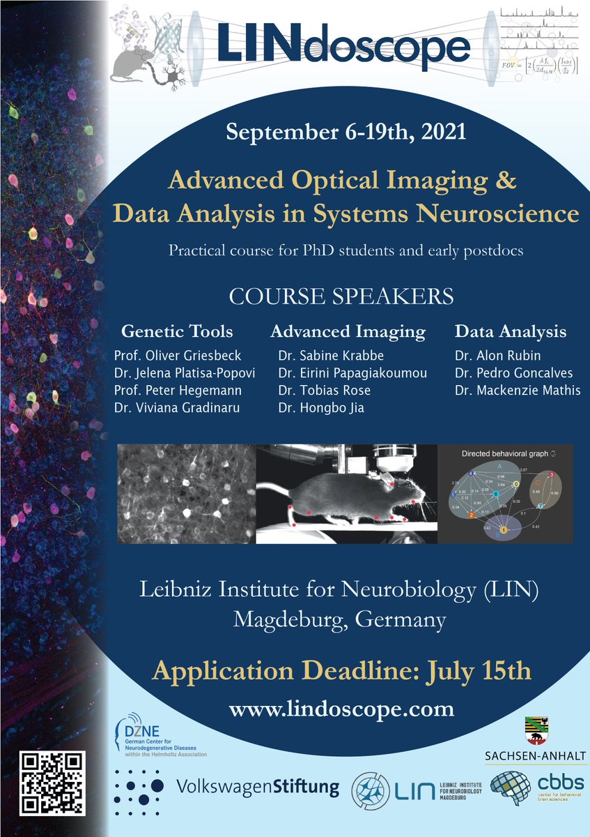 Are you a PhD student or early postdoc? Do you want to learn how to use advanced optical tools to image &amp; manipulate #neurons in vivo &amp; how to analyse such complex datasets? Then come apply for our fully funded course from 6-19 Sept 2021 in Magdeburg! lindoscope.com🧵1/5