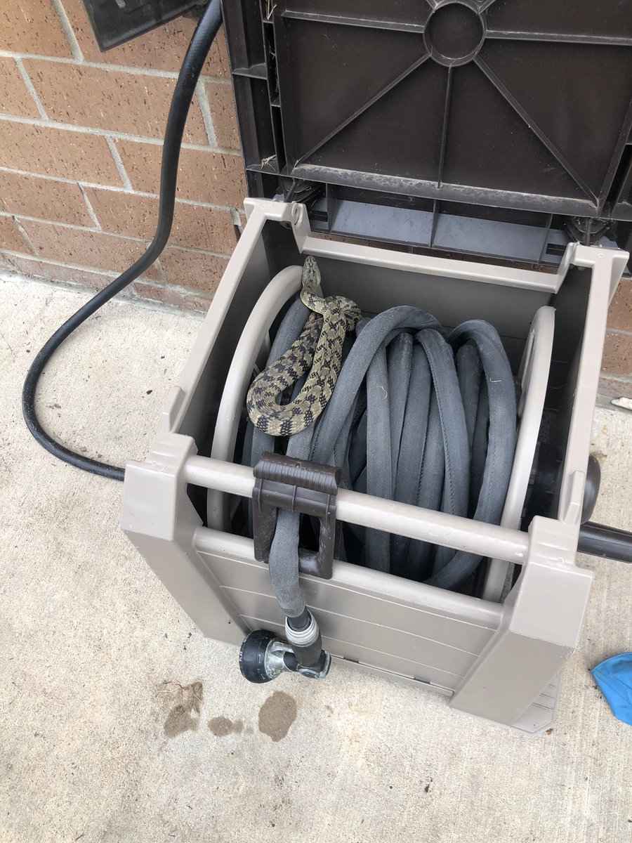 Mrs. Redmon tweet media