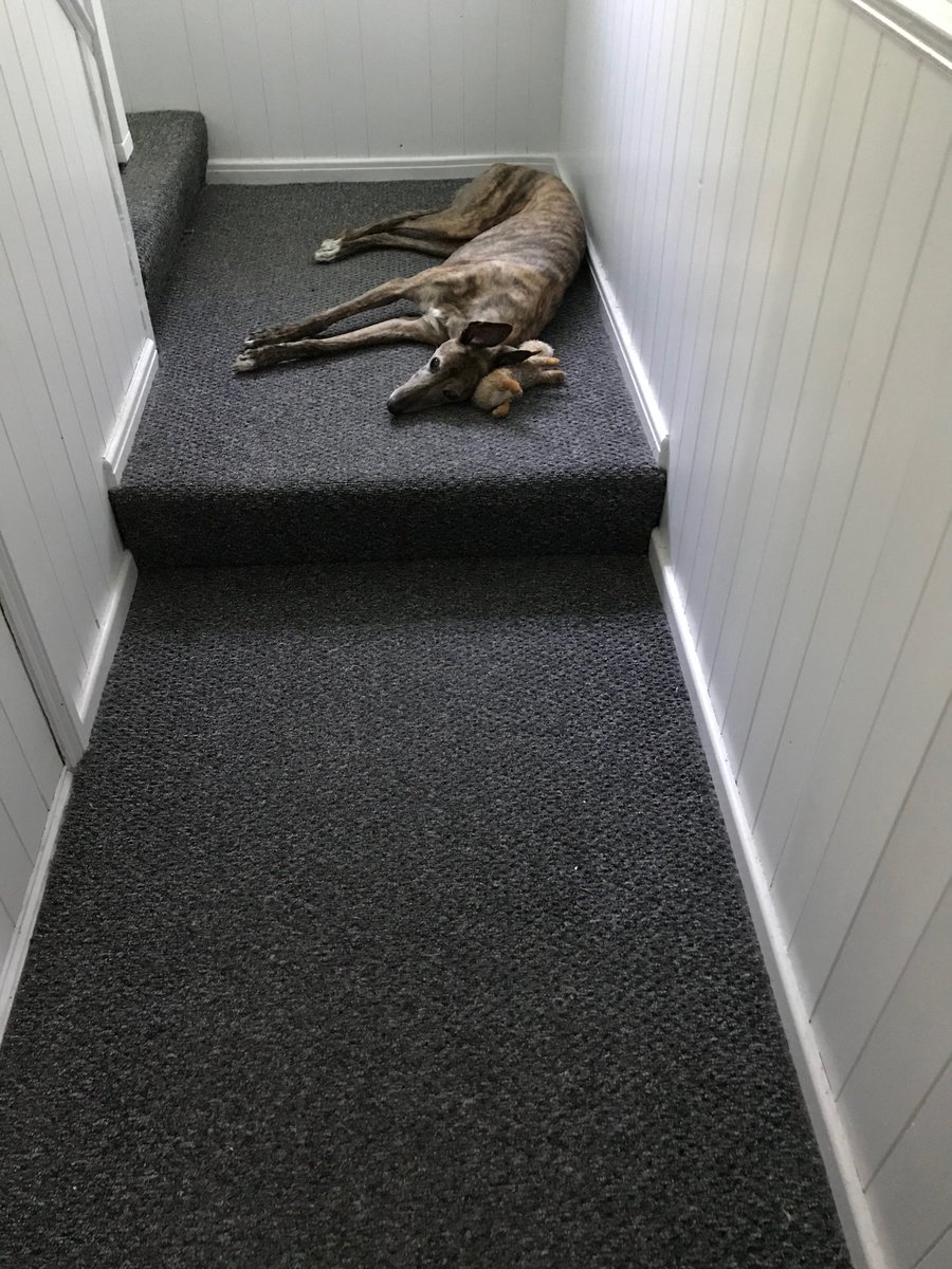 Dinner is late so I’m staging a protest with my squizzer