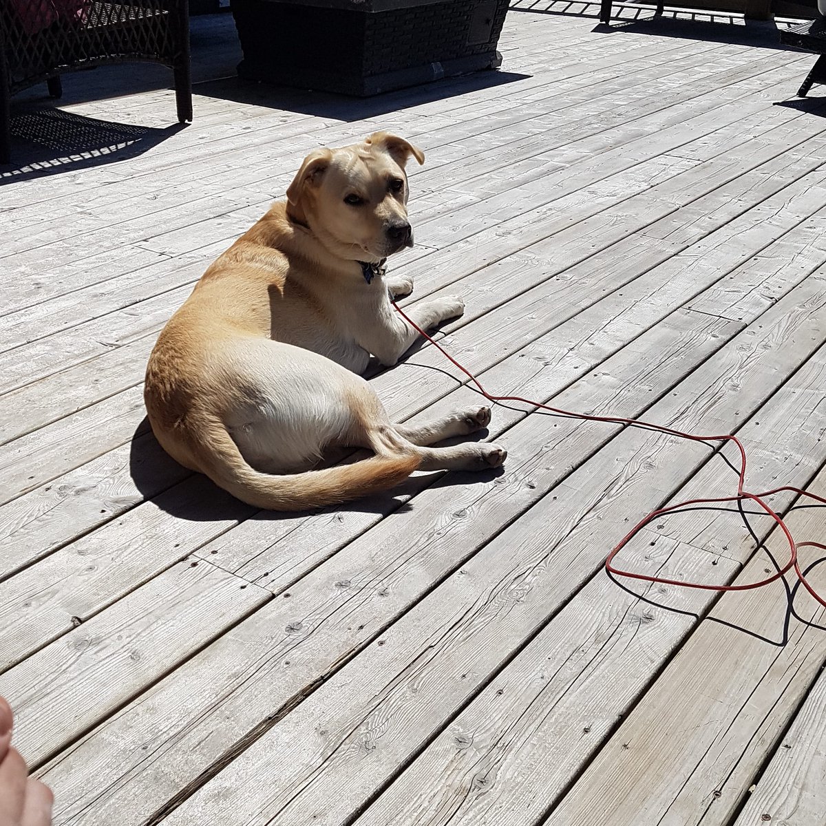 Pat Hickey tweet media