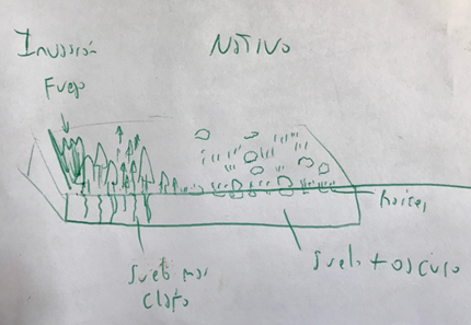 Martin A. Nuñez tweet media