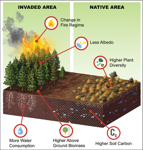 Martin A. Nuñez tweet media