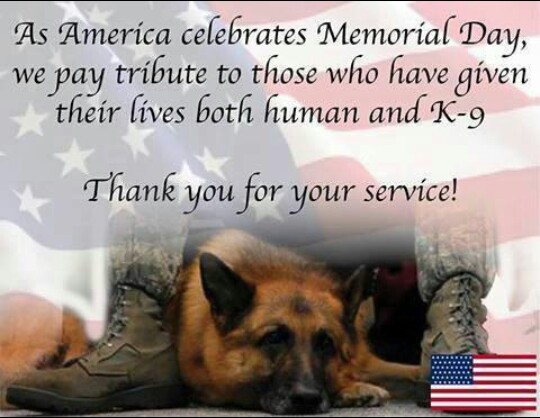 LivCo Animal Shelter (@lcas_howell) on Twitter photo 