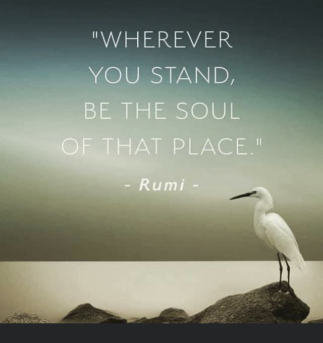 Susan Skinner (@susanskinnernv) on Twitter photo 