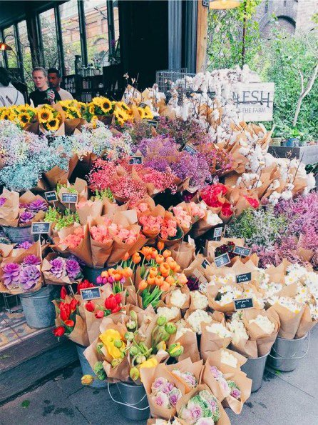 علميني من تكوني انتي بدوني ايش تكوني..
علميني هو جمالك يسوا شي لو مات بعيوني

#محمد_عبده