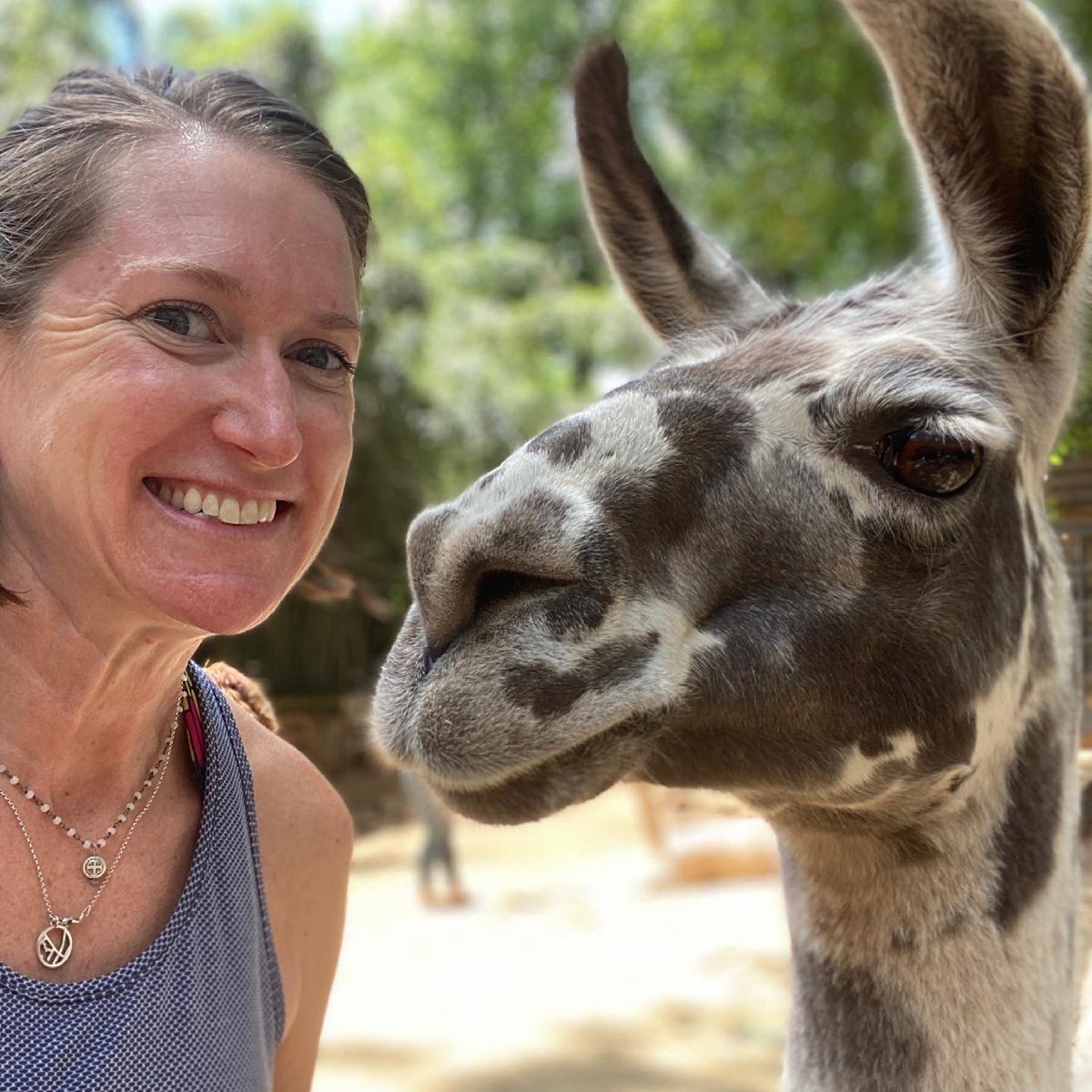 Sarah Barton Thomas tweet media