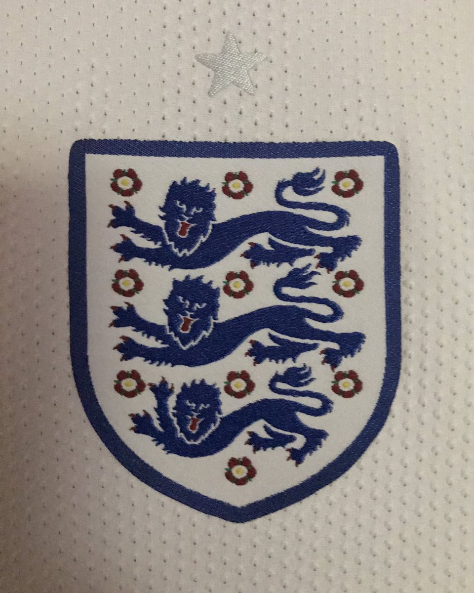 3LionsShirtbook's tweet image. How it started          How it’s going