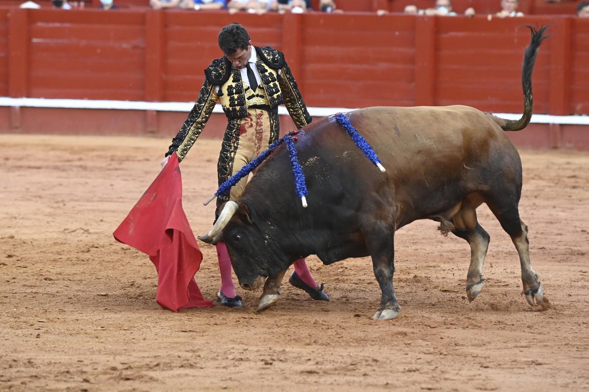AranjuezToros's tweet photo. Oreja para @InfoDanielLuque en el quinto de la tarde #Aranjuez https://t.co/EDr3dK4u87