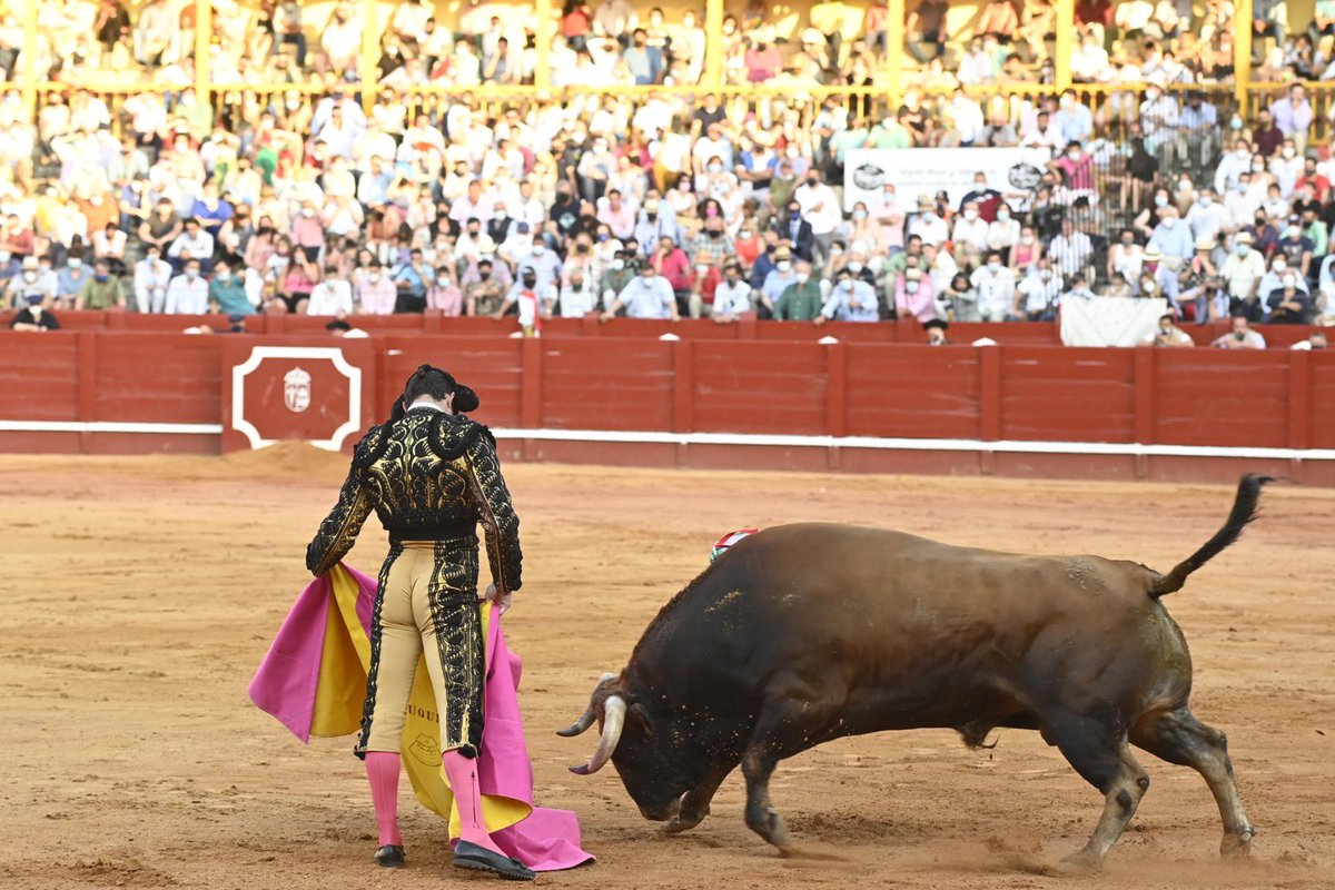 AranjuezToros's tweet photo. Oreja para @InfoDanielLuque en el quinto de la tarde #Aranjuez https://t.co/EDr3dK4u87