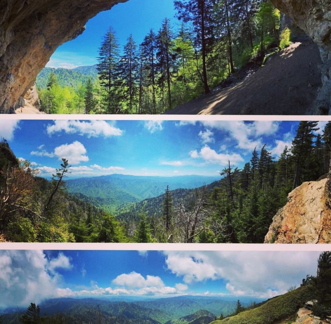 Without a doubt one of my most memorable &amp; meaningful vacations was at Alums Cave, East Tennessee! 🏞
It will be hard to top that memory or replicate that feeling. But that's not gonna stop me from trying. What are you most excited for this year? 

#memories 
#alumscave