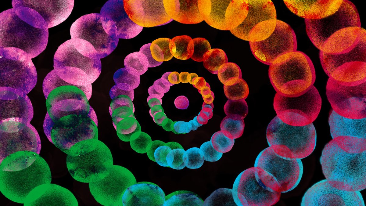 Flatpack Festival tweet media