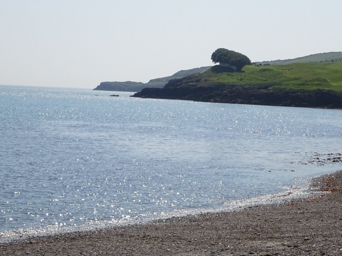 Open Sea Swims tweet media