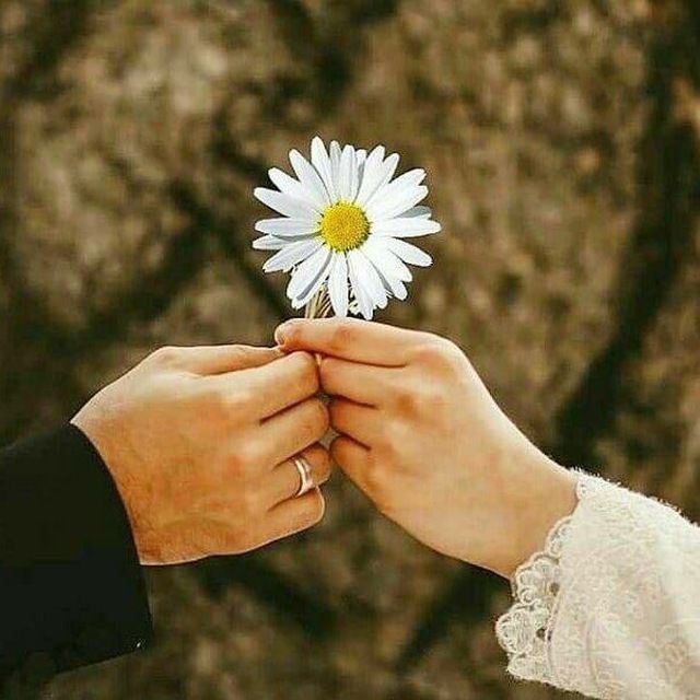 HishooNasser's tweet photo. @arabqoute و أيضا من الممكن أن الله ألقى فى نفسه هذا التصرف ليحميك انت من شئ خفى فى المستقبل 
ف أحمد الله و لا تحزن 
يجهز الله لك البديل الأجمل و الافضل لبقية مشوار حياتك
كلها ترتيبات السماء 
فلا تحزن و لا تقلق 
فطالما هى ترتيبات من الله بدون تدخل انت 
فتأكد أنها الأفضل 
و قل
الحمد لله https://t.co/PtVfrkG5Ud