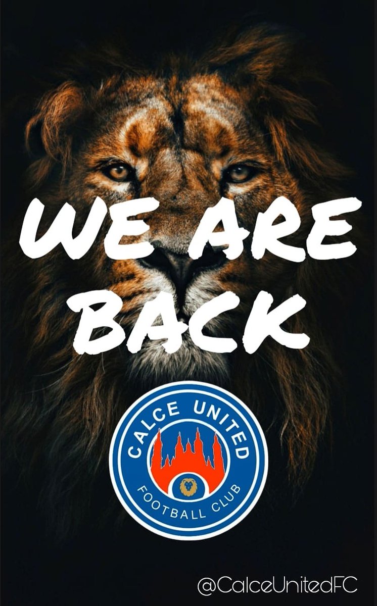 CalceUnitedFC's tweet photo. 💙🦁❤️ https://t.co/n1Q13MldIN