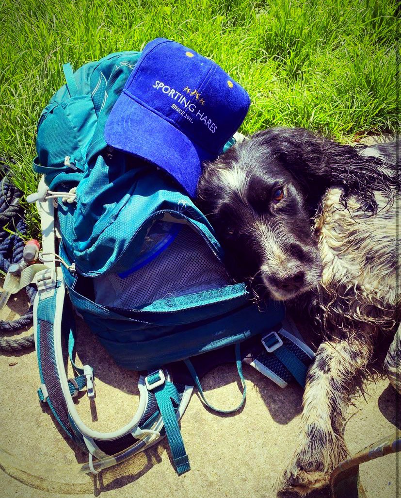 Sporting Hares® tweet media