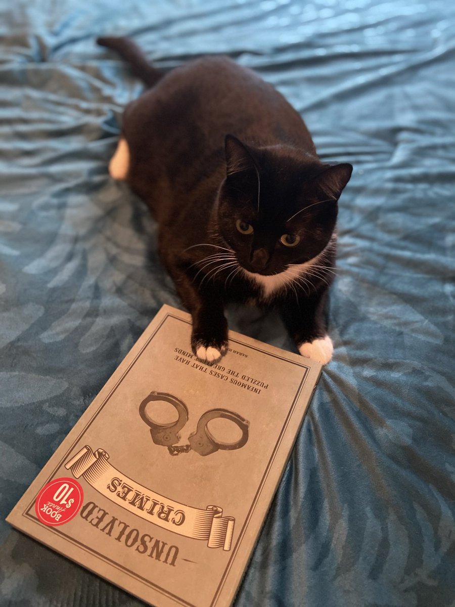AdventuresLilo's tweet photo. Aaaah literature... #liloadventures #unsolvedcrimes https://t.co/bLDxU5IJp3