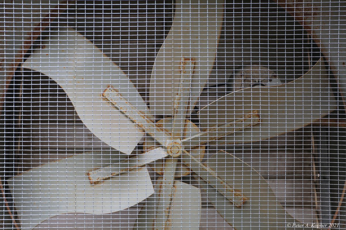 peterkopher's tweet image. "A Big Fan Of Mine"
peterkopher.com/galleries