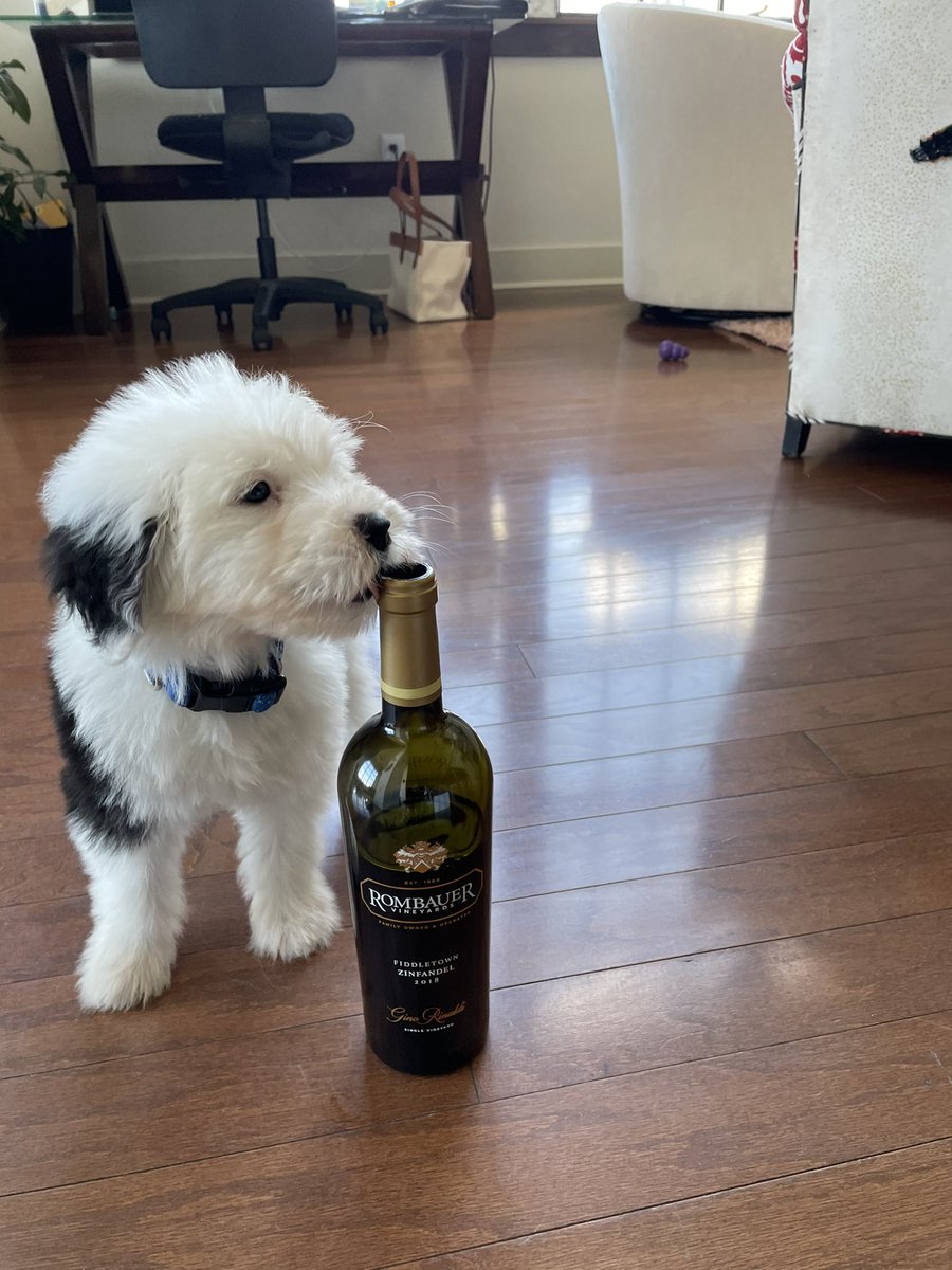 “Bauer” named after my favorite wine @rombauervino seems to approve of my taste!