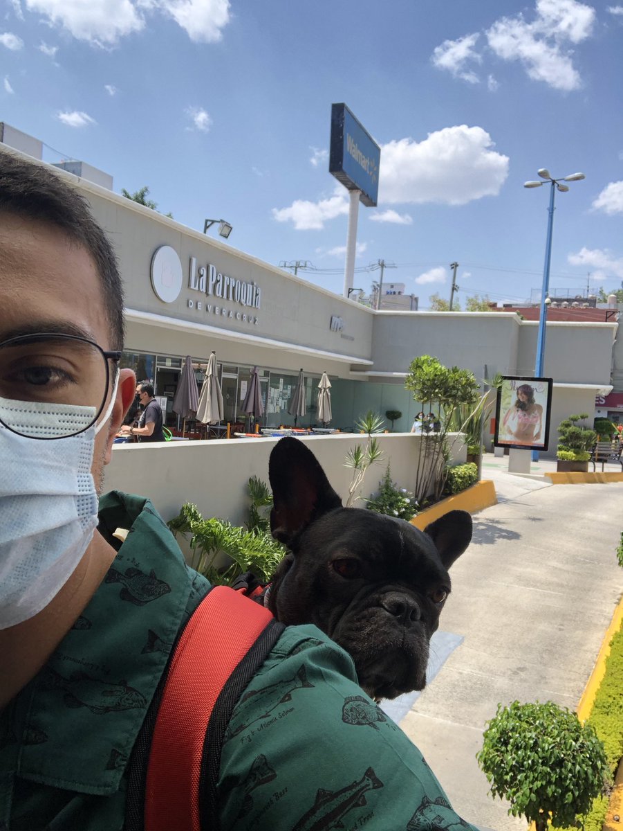 Lucho_FloresLL's tweet photo. @WalmartMexico traigo a mi perro es una mochila especial y no me dejaron entrar para hacer mis compras… la explicación??? No la hubo, es como si alguien entrará cargando a su bebé. Pésimo #porunmundopetfriendly #malservicio https://t.co/mBaxjacwjP