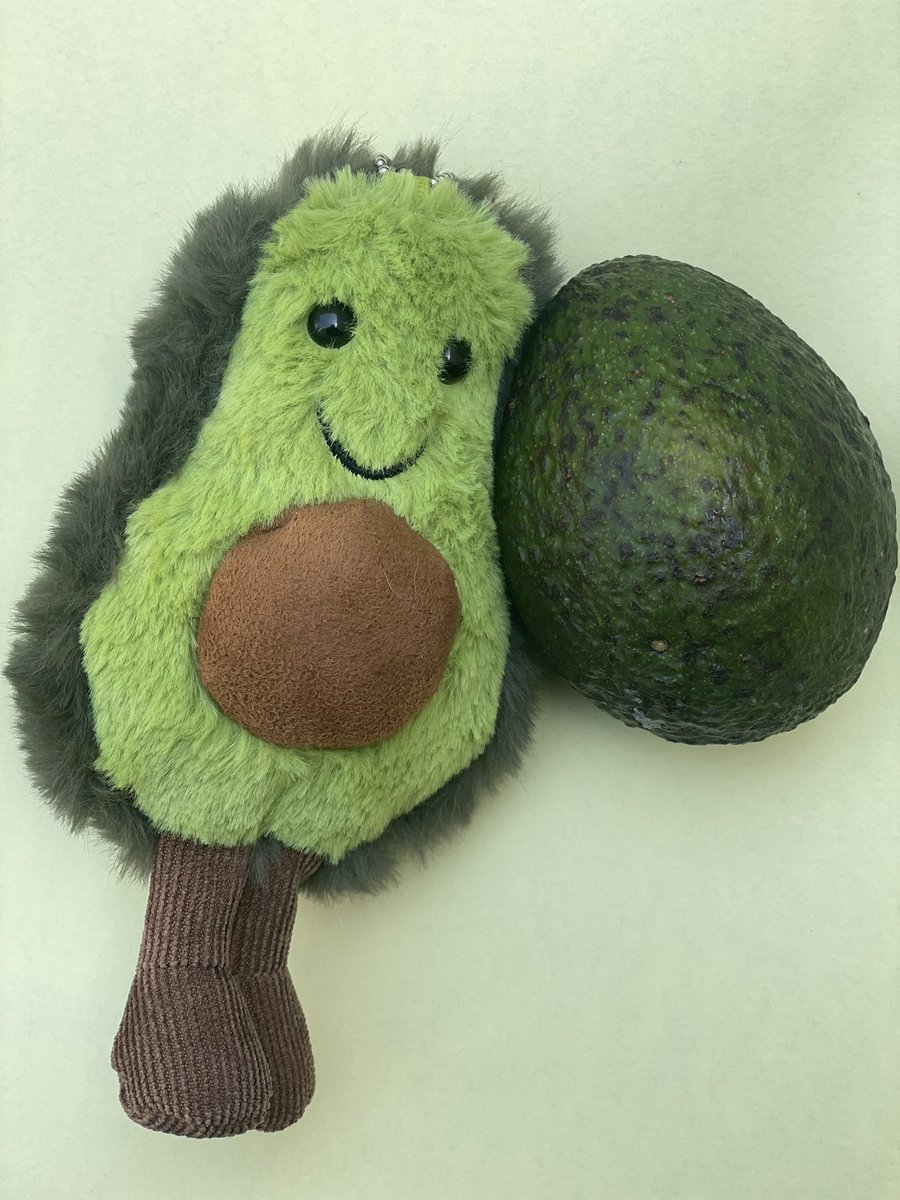 FluffPuffME's tweet photo. Who likes to avocuddle during bedtime like me??? 🥑 #avocuddle #avocado #plushie #cute https://t.co/rOf9qztHY0