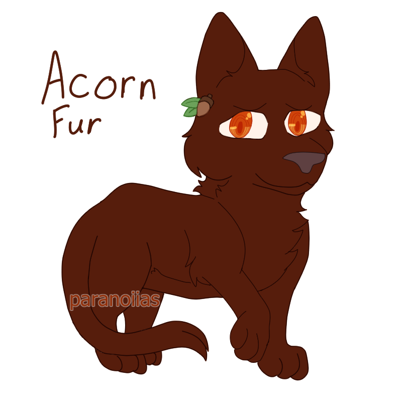 erraticjolteon's tweet photo. consider: acorn fur with chubby cheeks #AcornFur #WarriorCats https://t.co/cyUgElCrB5