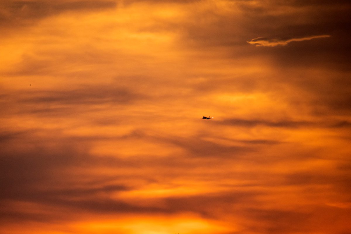 DianeKrauthamer's tweet photo. golden sunset over #TenleytownDC (shot from the @ParkVanNess in #VanNessDC) last week 🌆 https://t.co/WRudsNSLW5
@VanNessMainSt @TenleytownMS @Tenleytown411 @capitalweather @CapitalPhotog @ExposedDC #igdc #acreativedc #202creates #dc_spc #exposeddc #focusonthestory #fots21 https://t.co/H1Mmnu7poY