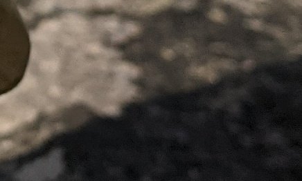 CraftsWalk's tweet photo. I will have the reveal of what I have made later this week. I am waiting until it has been delivered. #SeaOfThieves #BeMorePirate #CreatorCrew https://t.co/aQAMKdD3ZJ