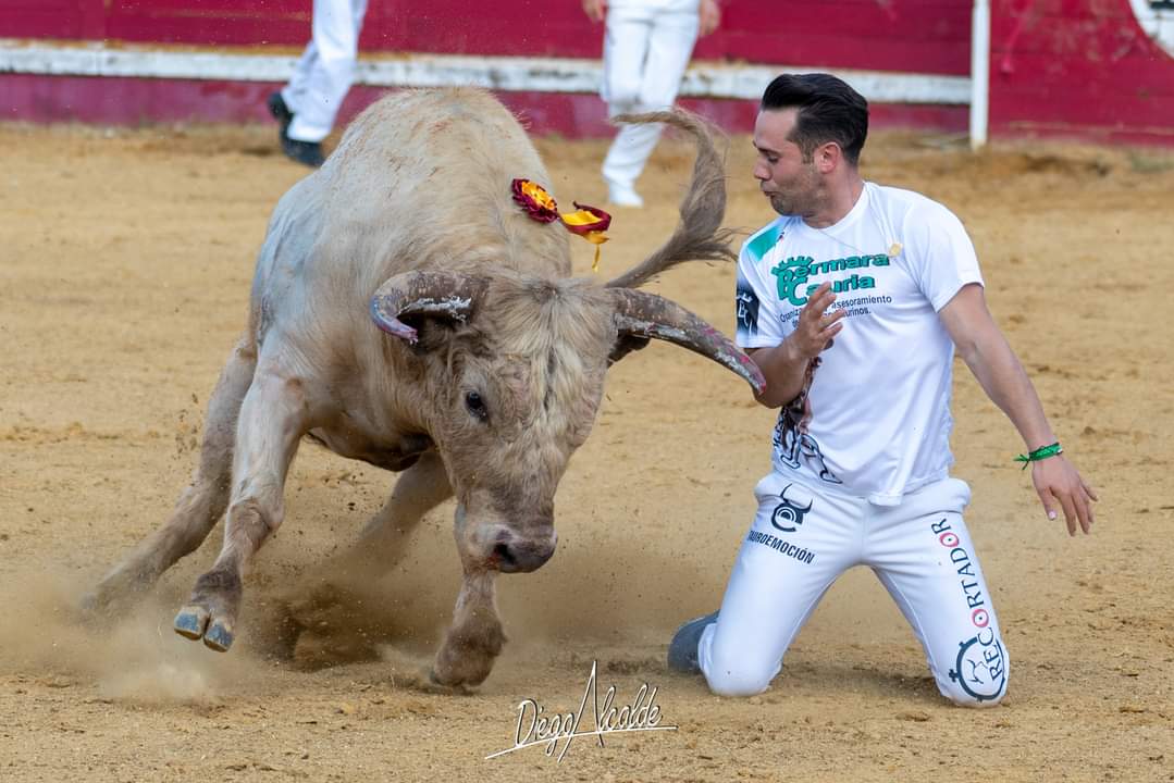 Buenas tardes. Pues aqui el campeón del concurso de recortadores de ayer en Montehermoso Don Dany Alonso el de Vezdemarban que nos dejo a todos locos con este espectacular quiebro de rodillas al toro Botinero de Don Tomas Prieto De La Cal. Enhorabuena a la empresa Bermara Cauria