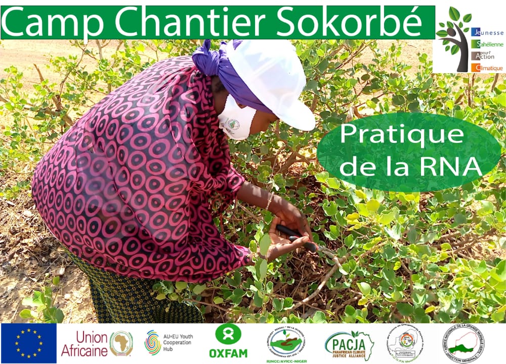 Bravo au #Togo 
Place aux actions pour une #Afrique plus #verte
Je suis sûr que <a href="/JVE_Int/">JVE International</a> fera sa part. Pendant ce temps au #Niger nous continuons les camps chantier sur l'#agroecologie avec #JESAC à #Tillabery et #Dosso pour lancer notre campagne de #reboisement <a href="/NigerJve/">JVE NIGER</a>
