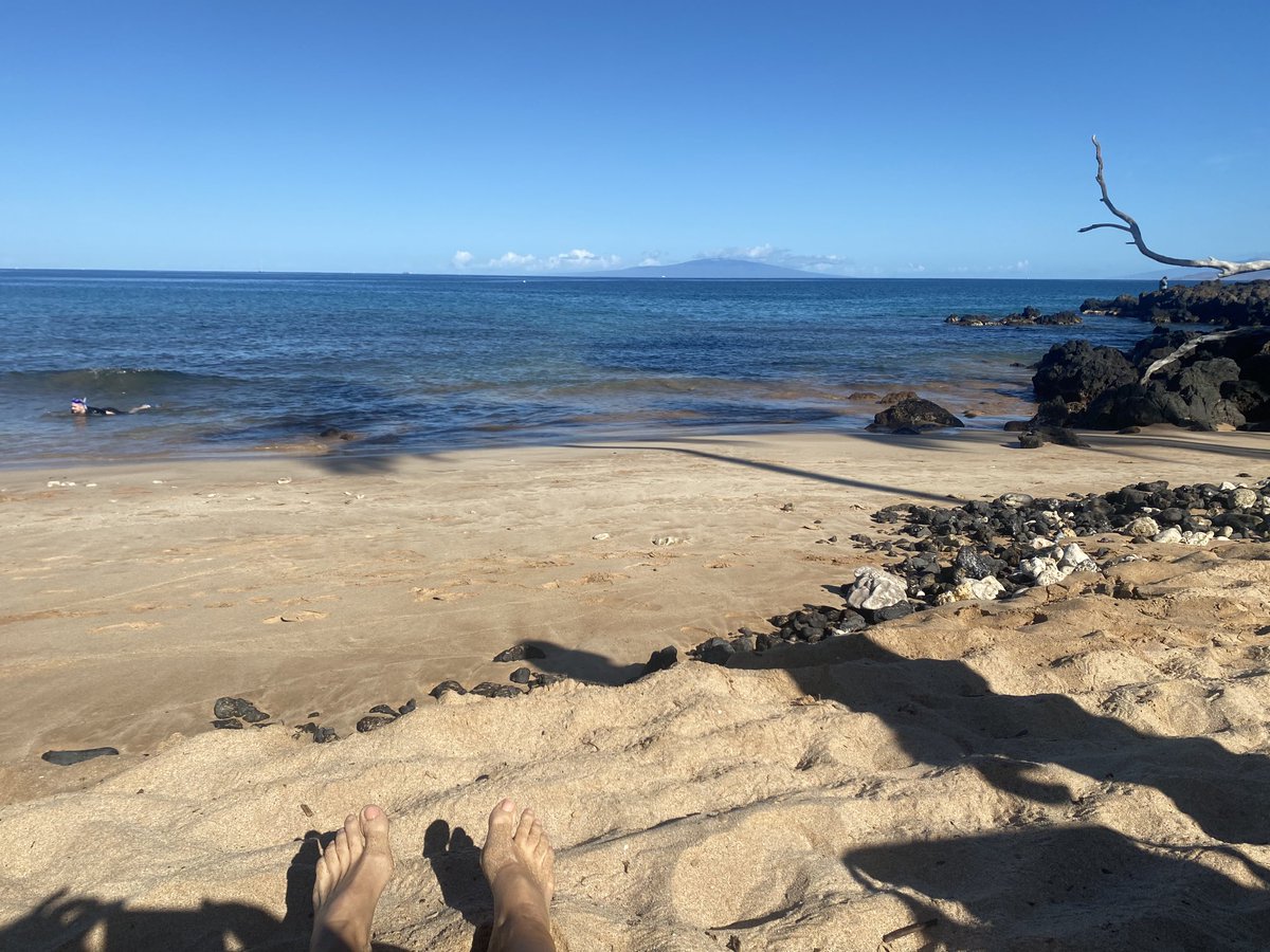 TobinShort's tweet image. Maui