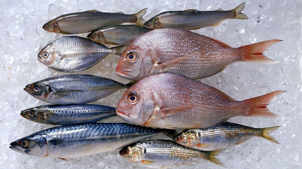 Do you know you can ingest #PCBs through food?

Food 4rm contaminated soil or water bodies may contain high levels of #PCBs that if not well monitored can cause bodily harm. #PCBs do not eliminate well &amp; can accumulate in the body. PLEASE BE SURE OF WHAT YOU EAT &amp; DRINK!

📸: BBC