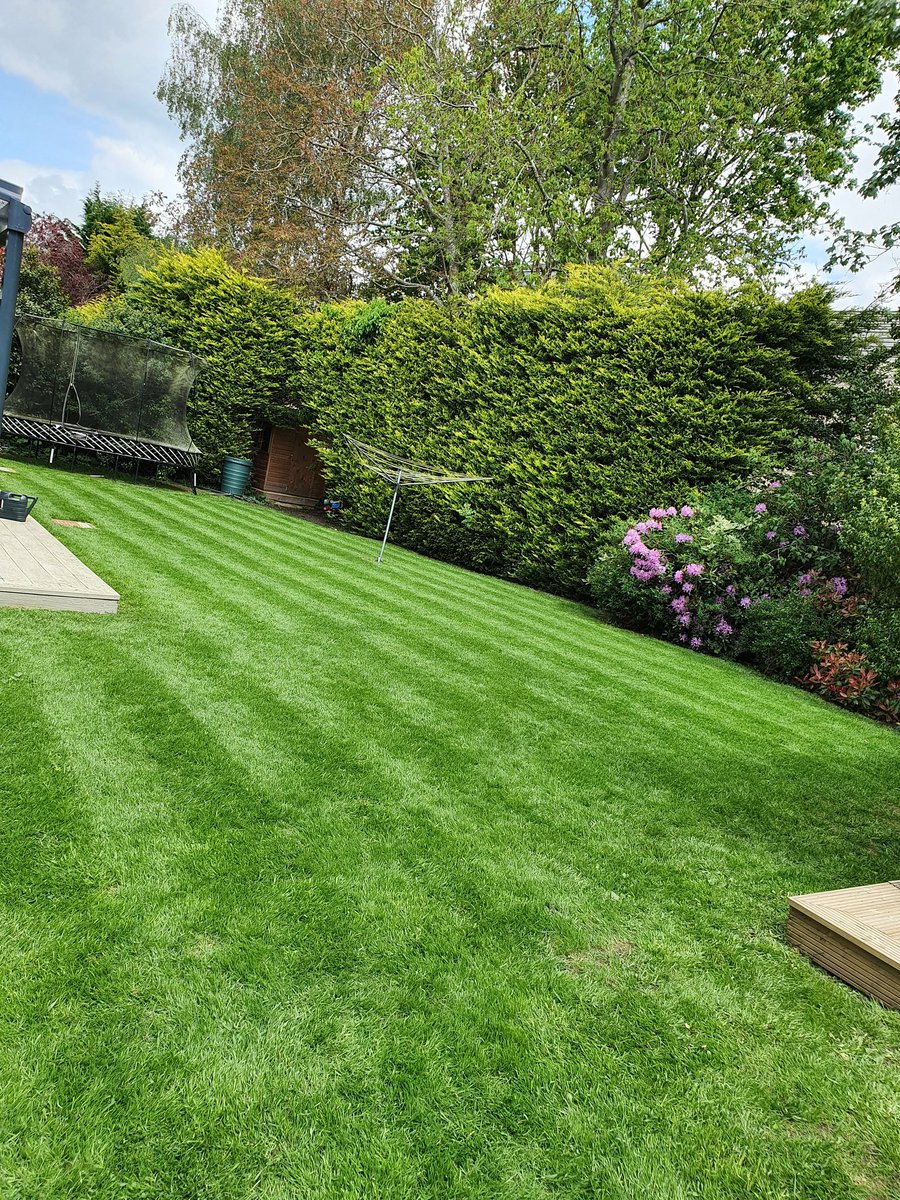 crosscutlawns1's tweet photo. Really happy with the progress these are making after the spring we've had this year!!
@rigbytaylor @MarkKeysellRT @HayterMowers @STIHL_GB @Tracmasteruk https://t.co/cuMEOrdswt