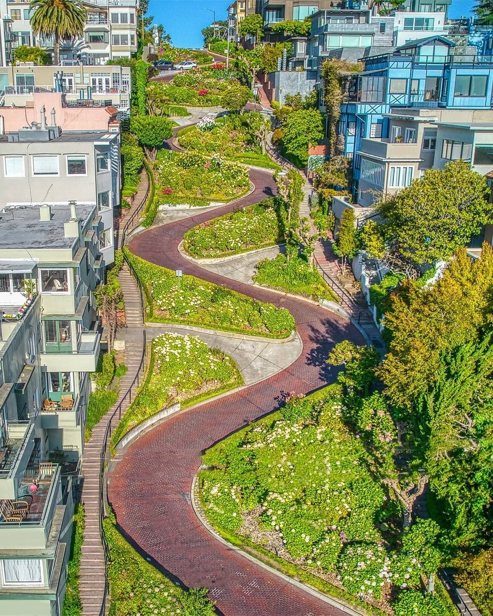 CivilEngDis's tweet photo. Lombard Street
Photo credit @dianebentleyraymond https://t.co/sNyeso9D5q