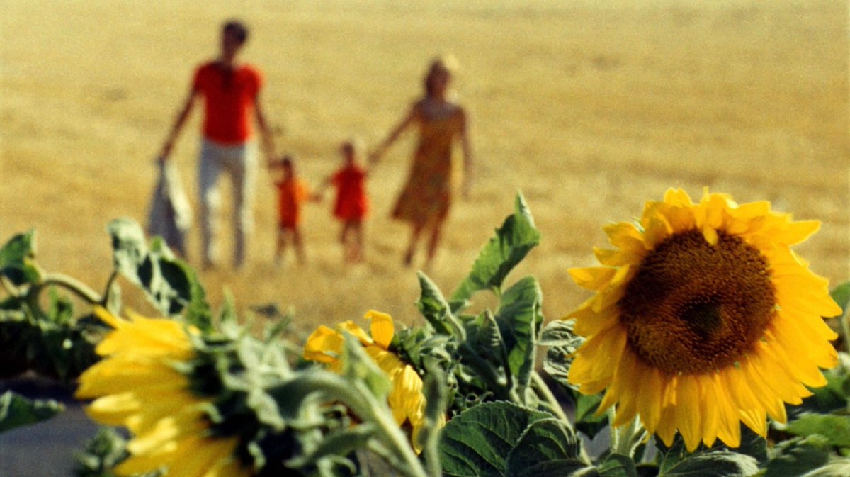 La Bonheur(1965), Agnés Varda 🌻

#vivavarda #agnesvarda #labonheur