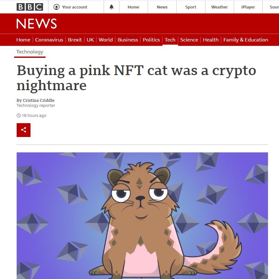 SydneyVery's tweet photo. NFT actually stands for Notable Feline Topnotchedness... but don't tell anyone. @PureGalya https://t.co/YJiipHiSJl
