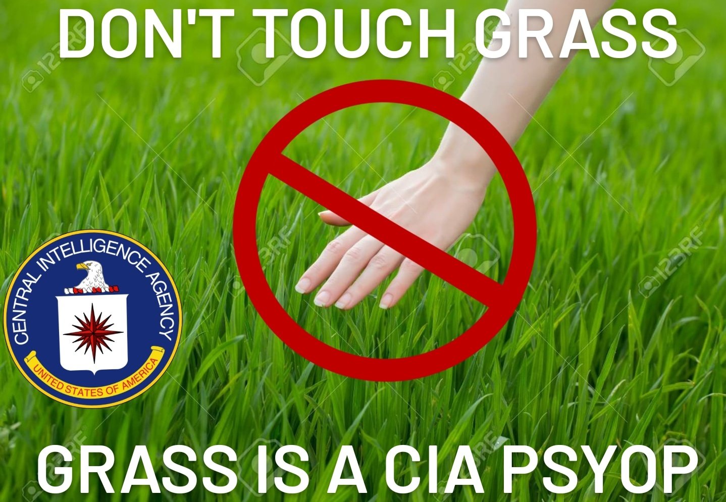 What Does Touch Grass Mean?